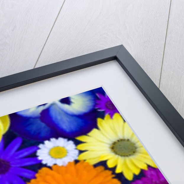 Flowers in Blues and Yellows by Anonymous