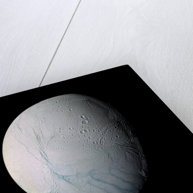 Enceladus by Anonymous