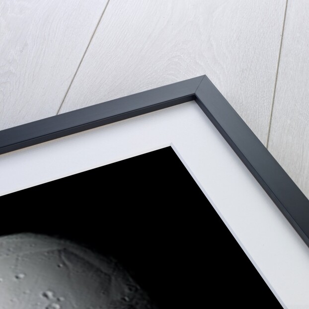 Enceladus by Anonymous