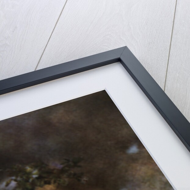 The Talking Bird by Maxfield Parrish