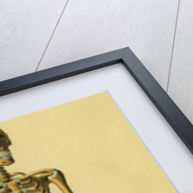 Illustration of Human Skeleton by Anonymous