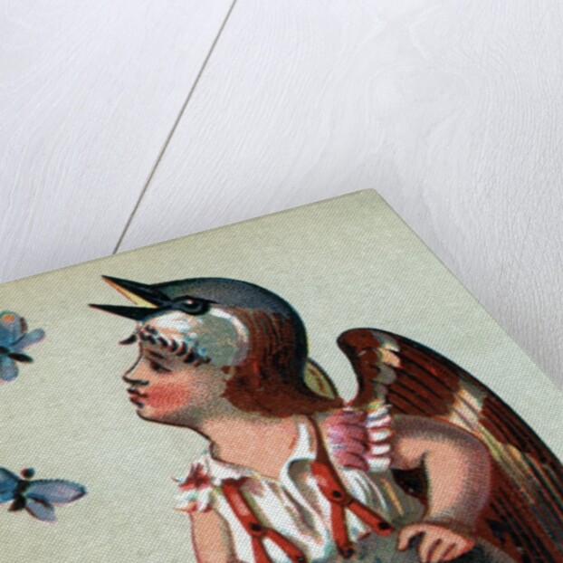 Illustration of Child Dressed in Sparrow Costume by Anonymous