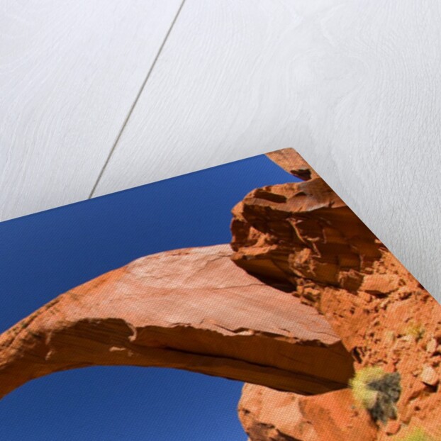 Rainbow Bridge Arch by Anonymous