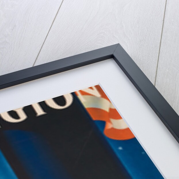 Washington Poster by Sascha Maurer