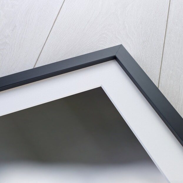 Gray Wolf Howling by Anonymous