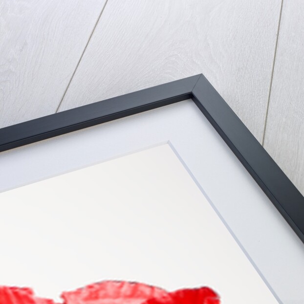 Red Poppy by Anonymous