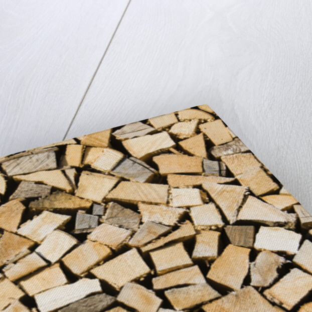 Stacked Firewood by Anonymous