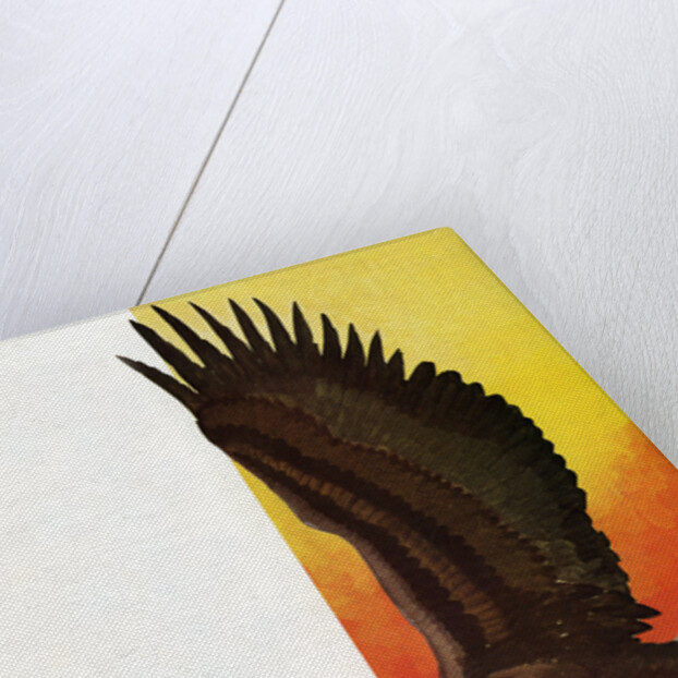 Illustration of Flying Bald Eagle Holding Salmon in Claws by Stark Davis