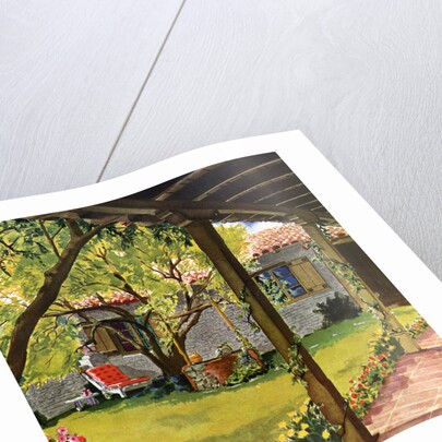 Illustration of Backyard by Anonymous
