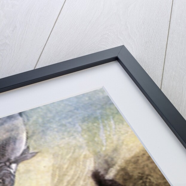 Illustration of Magical Fish by Charles Robinson