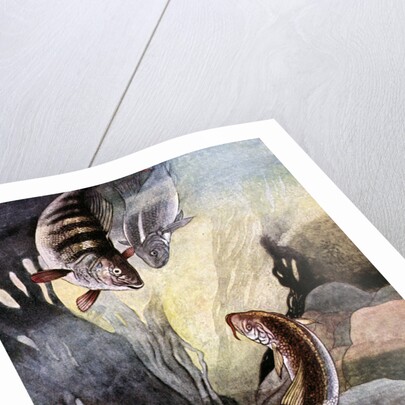 Illustration of Magical Fish by Charles Robinson