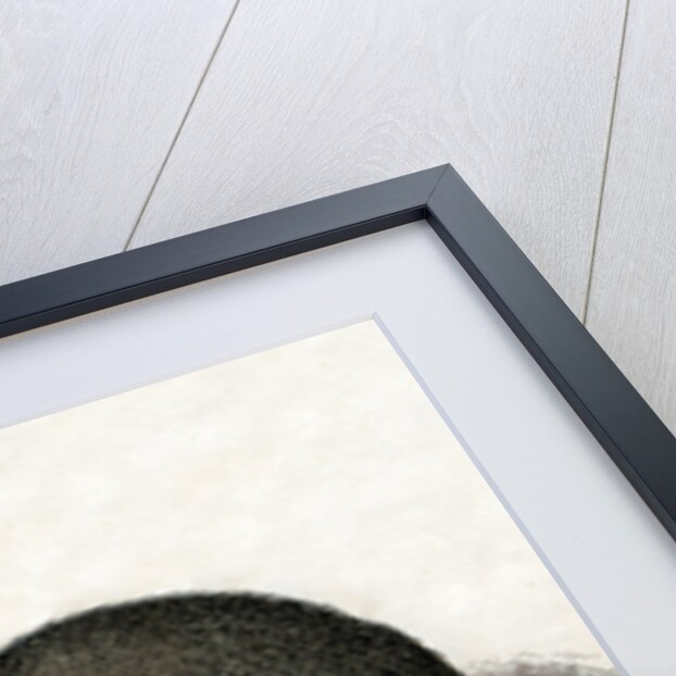 Rabbits Illustration by Anonymous