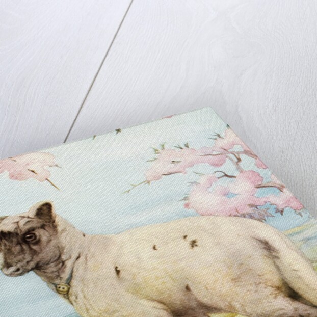 Illustration of Lamb by Edward Julius Detmold