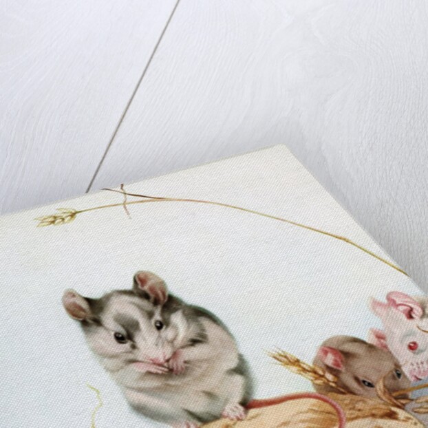 Illustration of Mice by Edward Julius Detmold