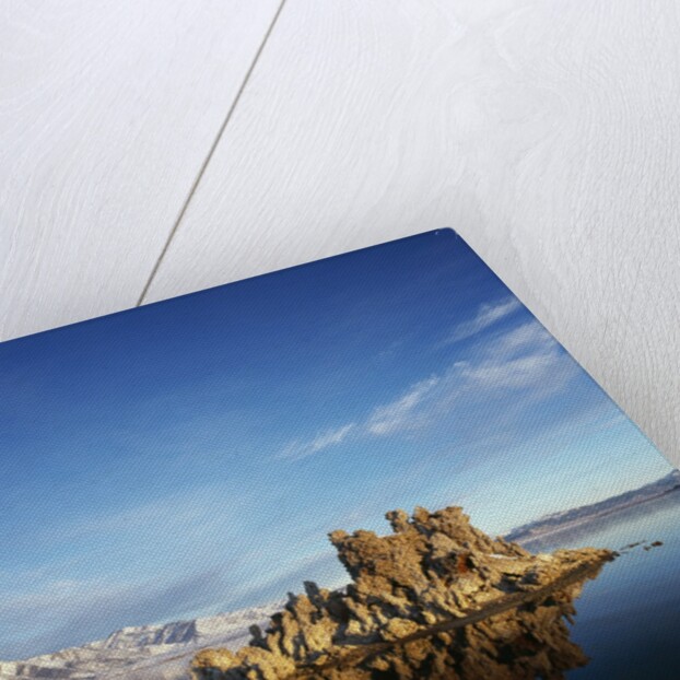 Rock Formations in Mono Lake by Anonymous