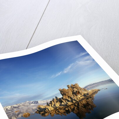 Rock Formations in Mono Lake by Anonymous