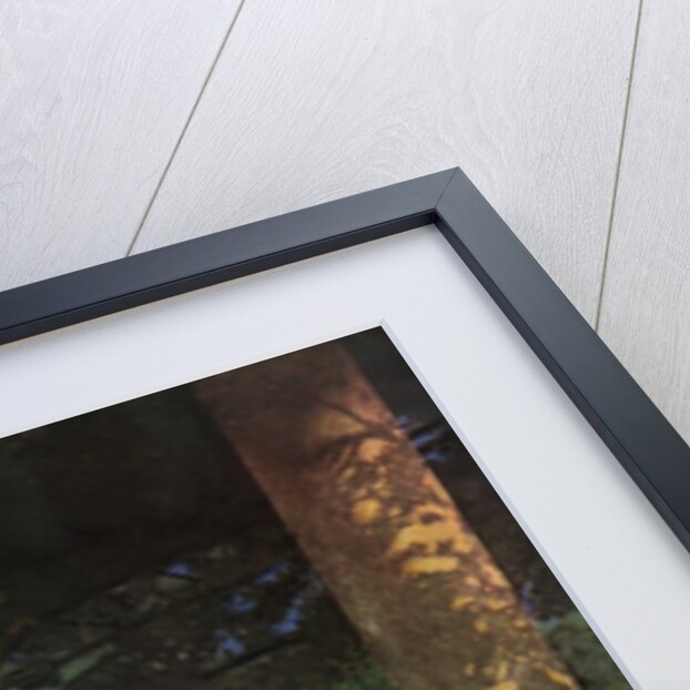 Prince Agib Illustration by Maxfield Parrish