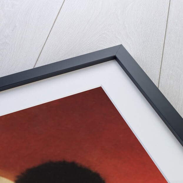 Third Voyage of Sinbad Illustration by Maxfield Parrish