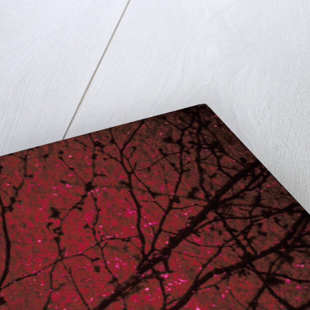 Trees by Andre Burian