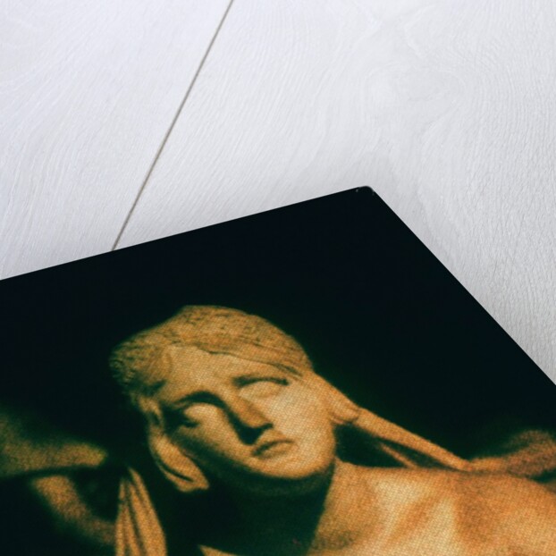 Roman Statue by Andre Burian