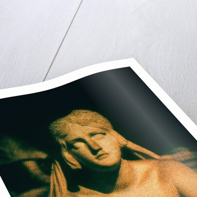 Roman Statue by Andre Burian