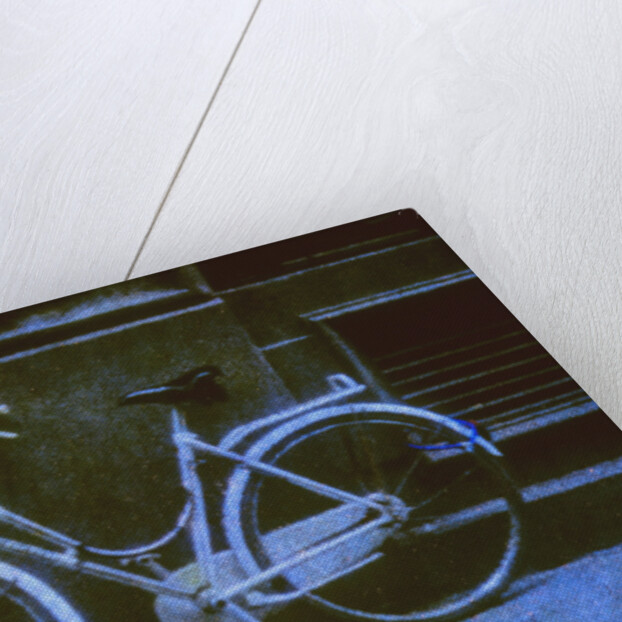 Bicycle by Andre Burian