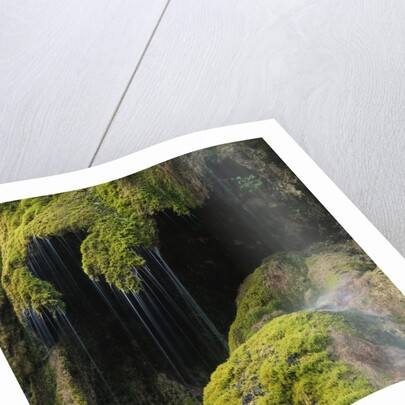 Water Running down Vegetation Covered Rocks by Anonymous