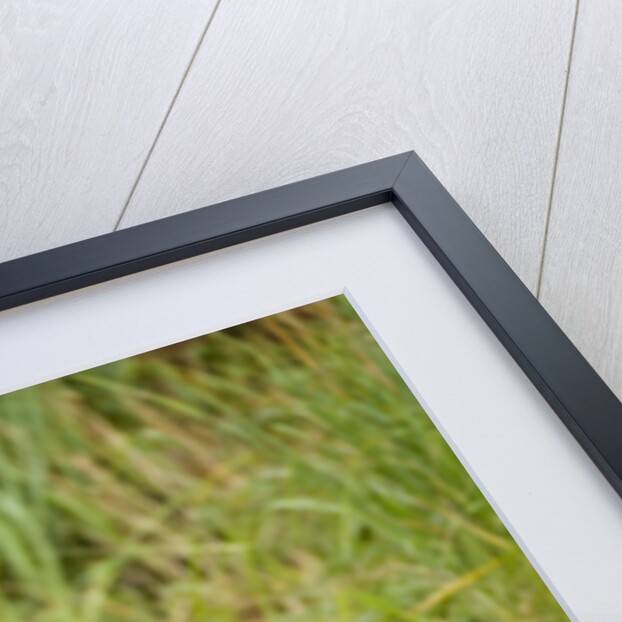 Brown Bear Cubs Sleeping at Kuliak Bay by Anonymous