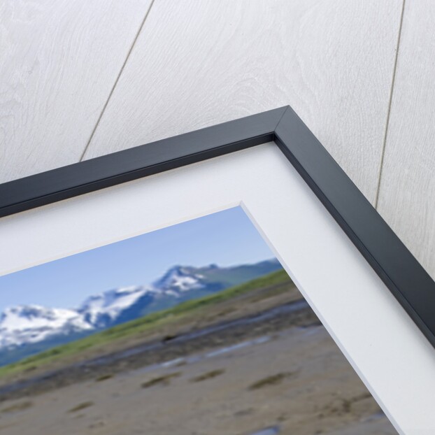 Brown Bear Tracks at Hallo Bay in Katmai National Park by Anonymous