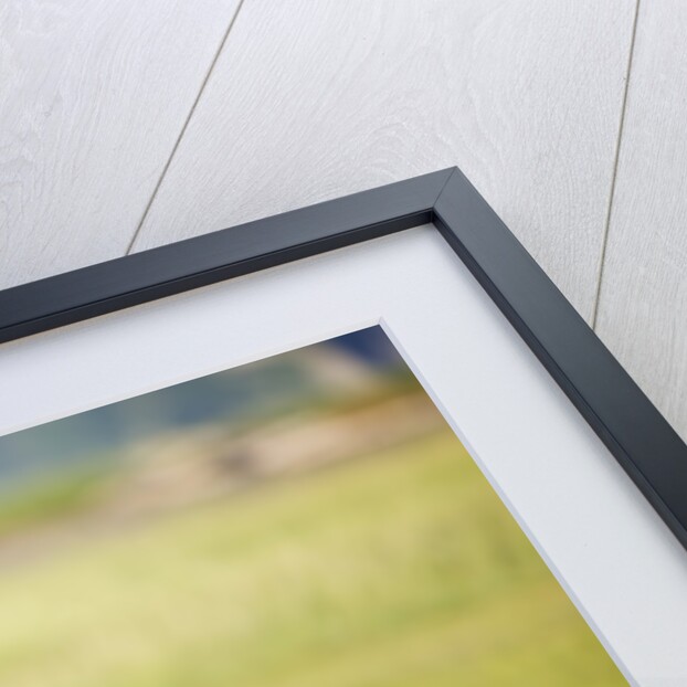 Brown Bear Lying on Back With Feet Raised at Hallo Bay by Anonymous