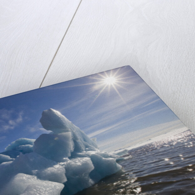 Iceberg Melting Under Summer Sun in Burgerbukta Bay by Anonymous