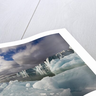 Icebergs Near Sveabreen Glacier in Nordfjorden by Corbis