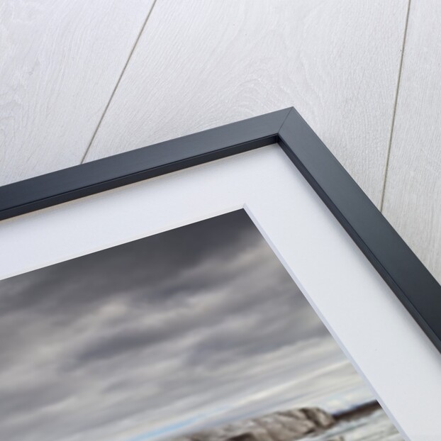 Bearded Seal on Iceberg in the Svalbard Islands by Anonymous