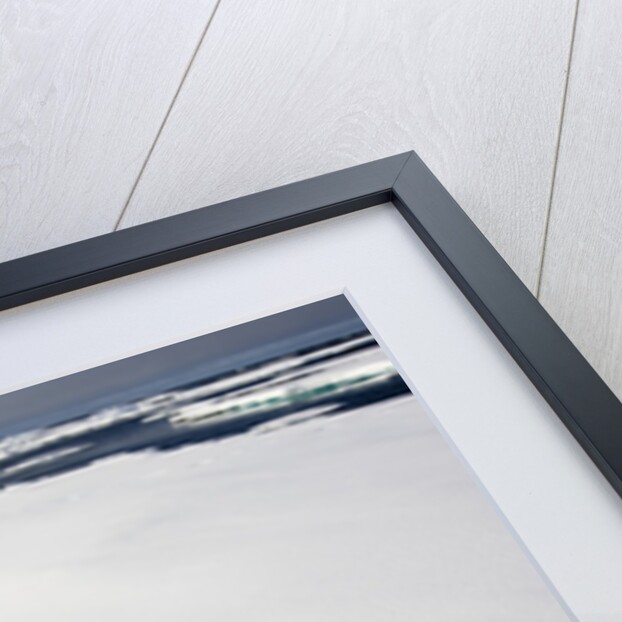 Polar Bear Tracks in Fresh Snow at Spitsbergen Island by Anonymous