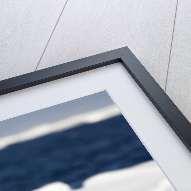 Wet Polar Bear on Pack Ice in the Svalbard Islands by Anonymous
