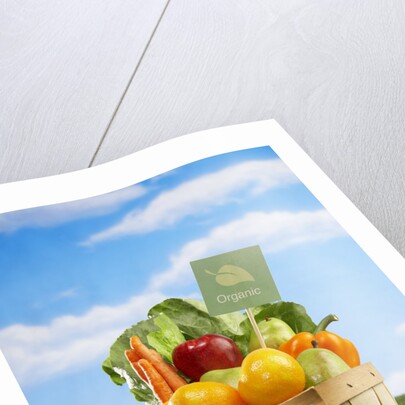 Bushel Full of Organic Fruits and Vegetables by Anonymous