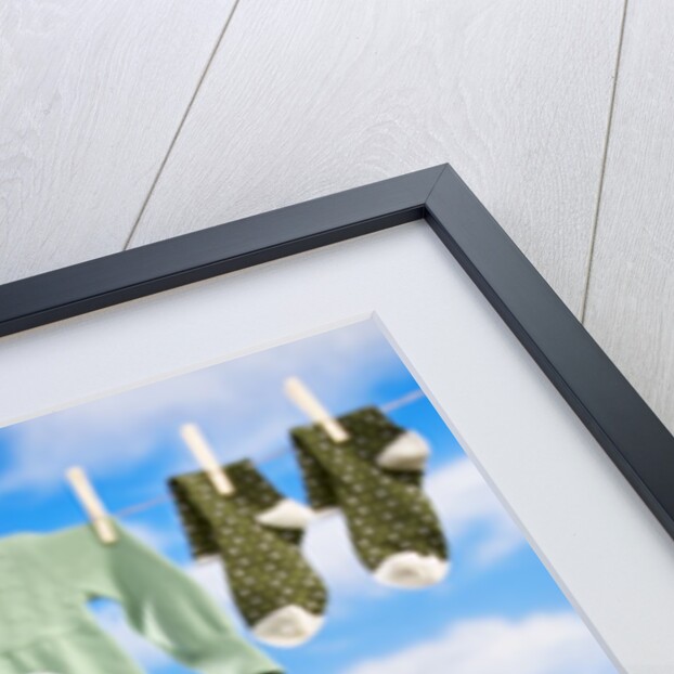 Bulldog Puppy in Laundry Basket by Anonymous