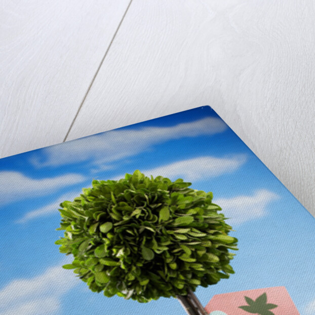 Miniature Tree in Pot by Anonymous