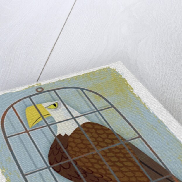 Bald Eagle Confined in Small Cage by Anonymous
