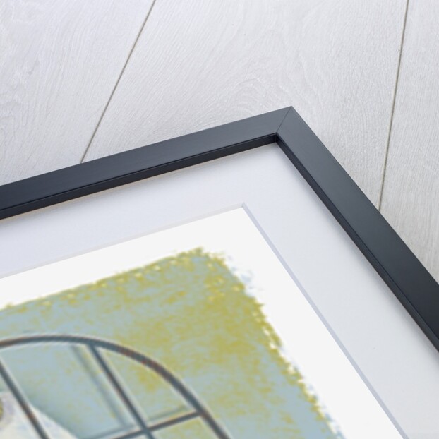 Bald Eagle Confined in Small Cage by Anonymous