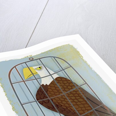 Bald Eagle Confined in Small Cage by Anonymous