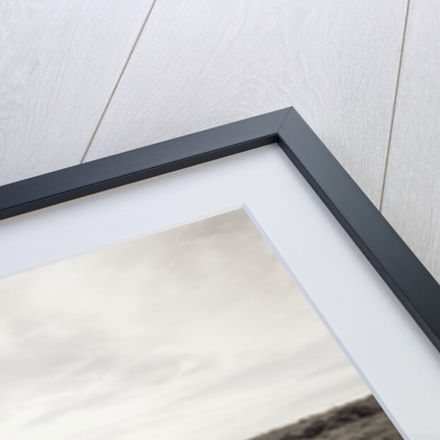 Horses in Field by Anonymous