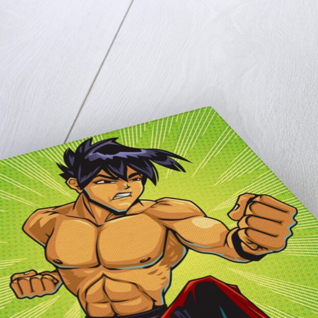 Anime Fighter by Anonymous