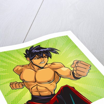 Anime Fighter by Anonymous