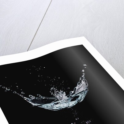 Strawberry in Water by Anonymous