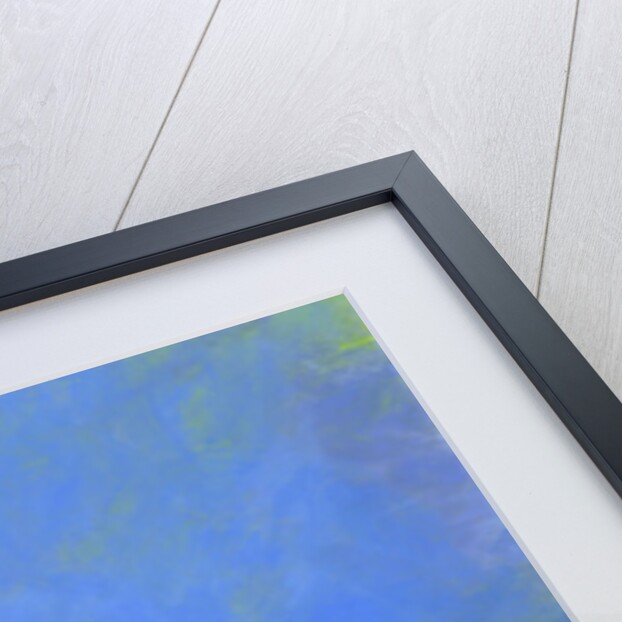 Woman and Crab by Anonymous