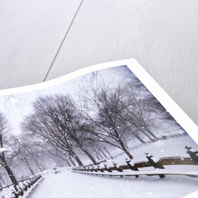 Central Park in winter by Anonymous
