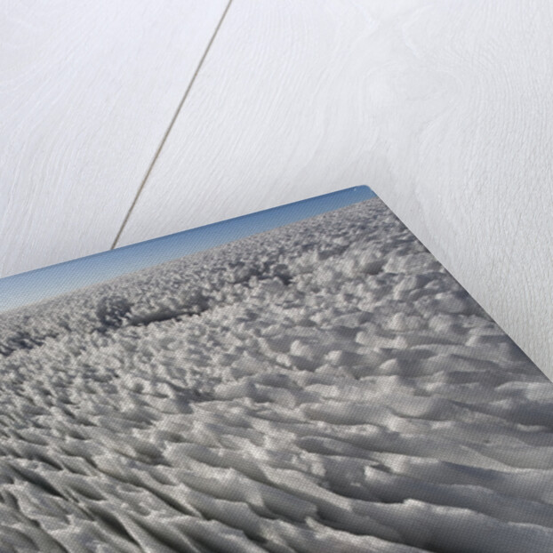 Melting Snowfield in Crater on Mount Kilimanjaro by Anonymous