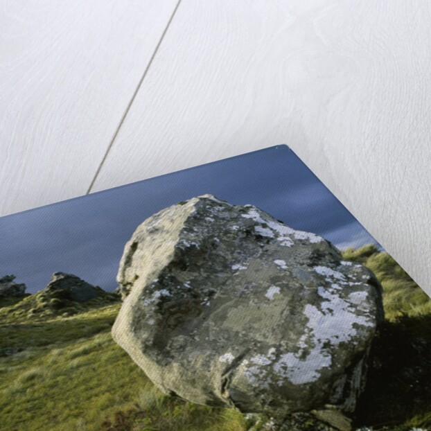 Boulder on a Hillside by Anonymous