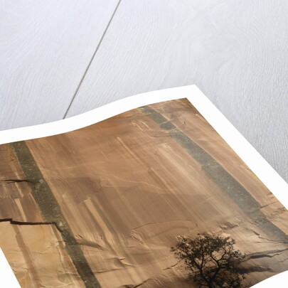 Lone Tree Beneath a Sheer Cliff Face by Anonymous